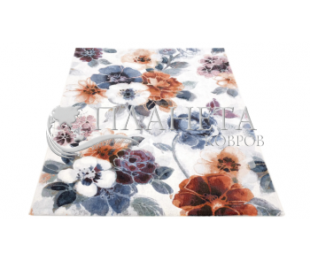 Carpet  Argentum 63459 6626 - high quality at the best price in Ukraine